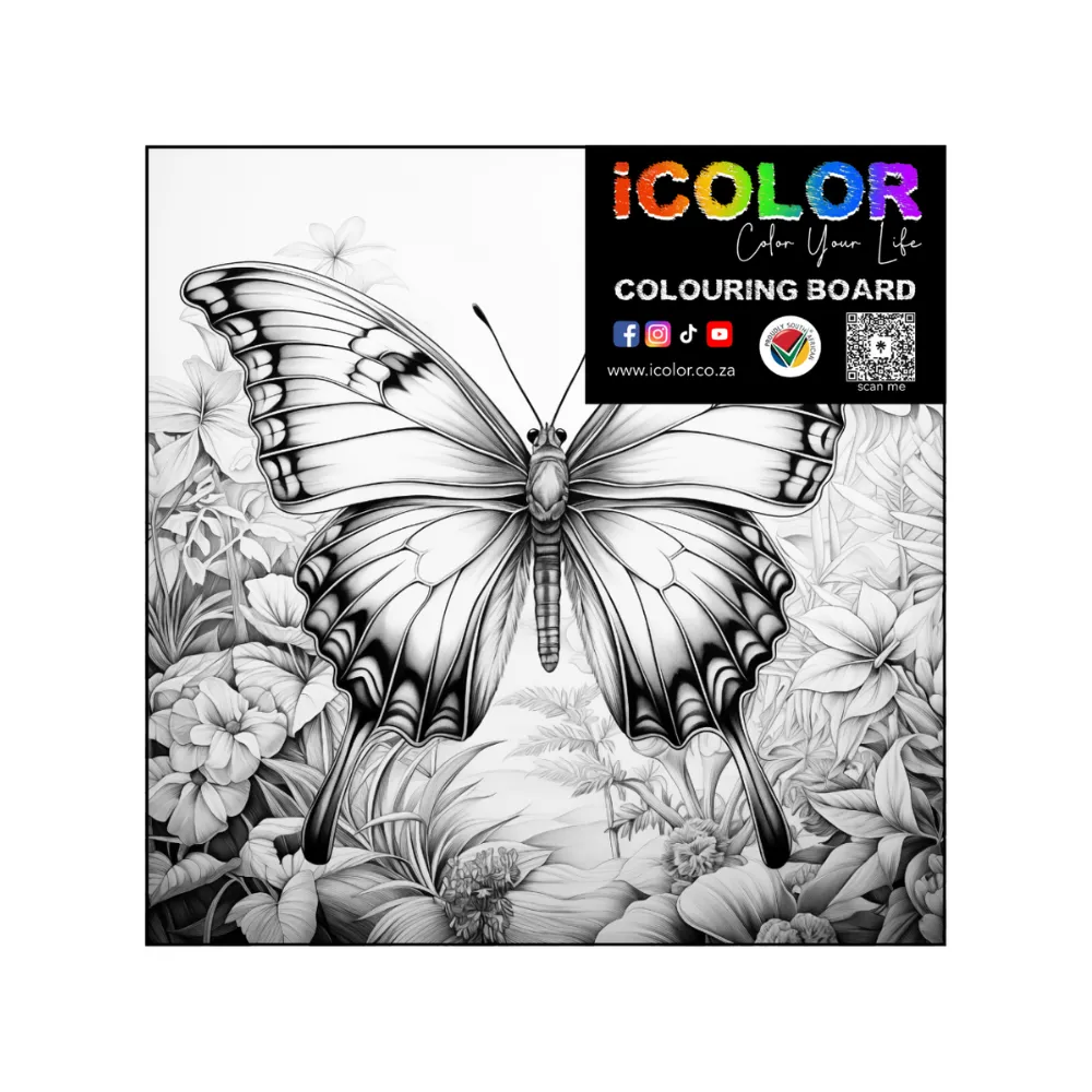 butterfly.webp