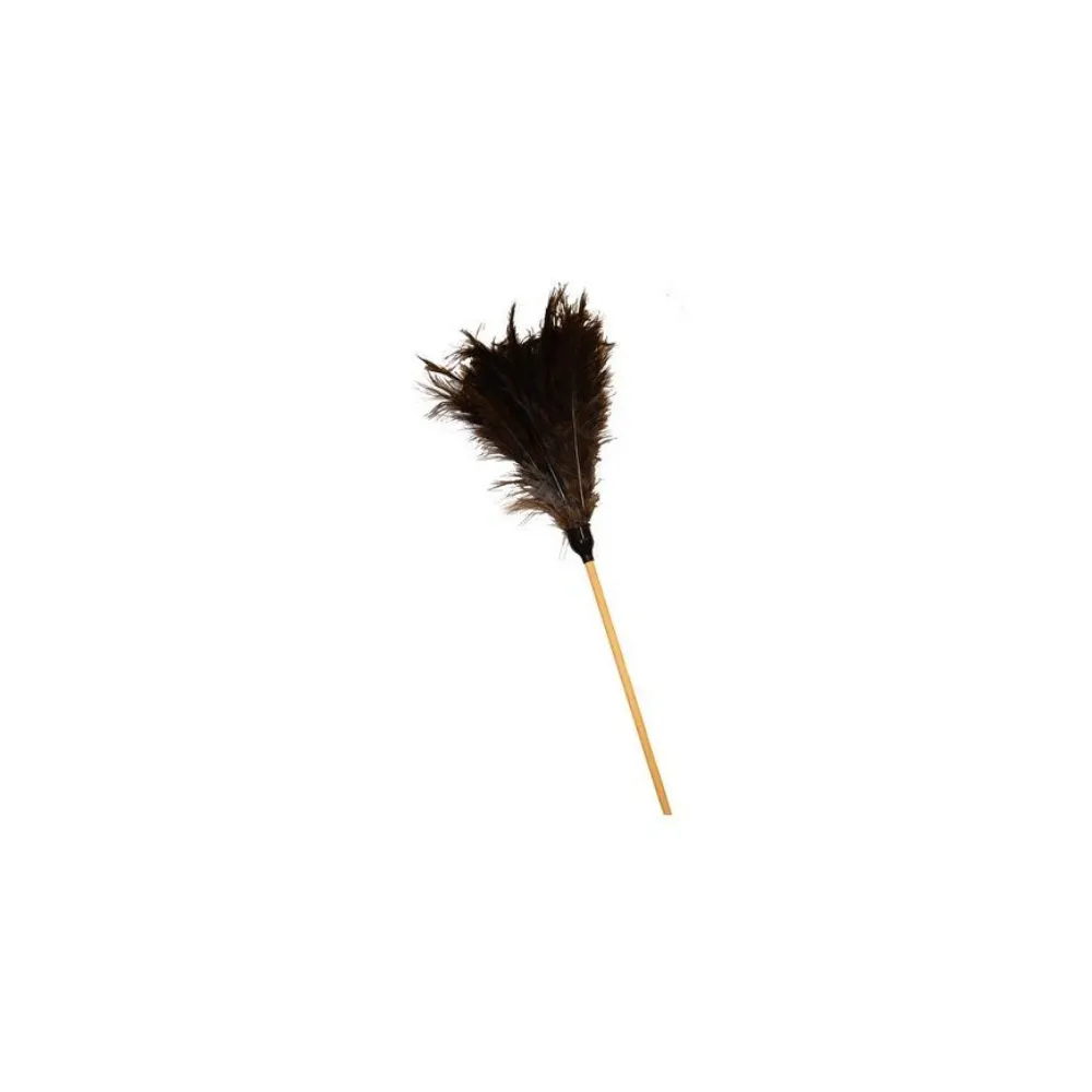 [281] Feather Duster Long Academy