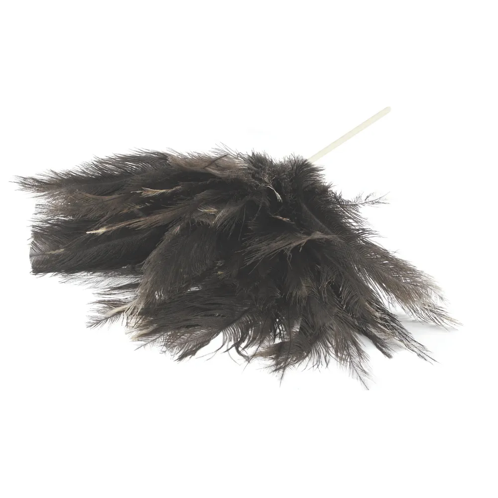 Feather Duster Long Academy