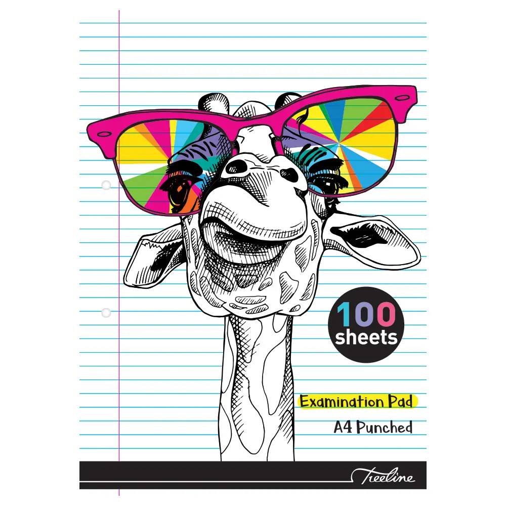 Exam Pad A4 Punched 100sht - iWrite