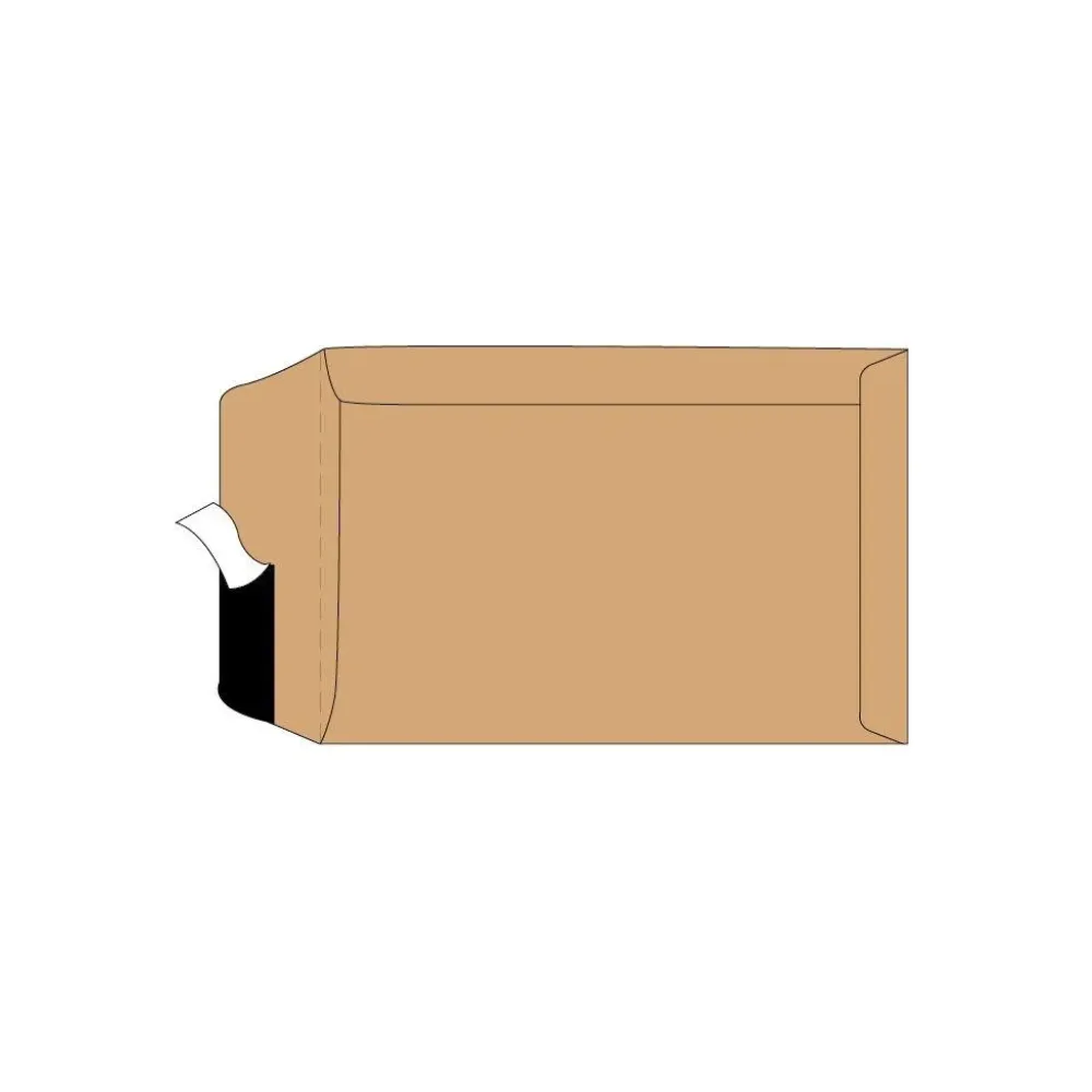 Envelope A3 Loose